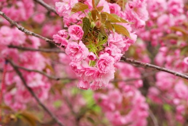 南京玄武区8线下个人借款平台一站式服务，轻松解决资金难题