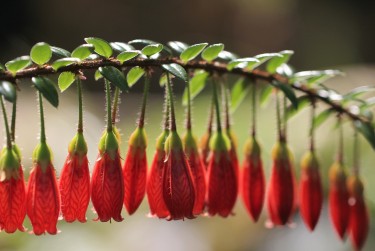 南京玄武区8零用贷短借：轻松解决临时资金需求