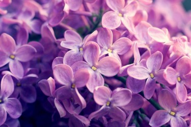 南京玄武区8企业急用钱贷款攻略：快速融资解燃眉之急